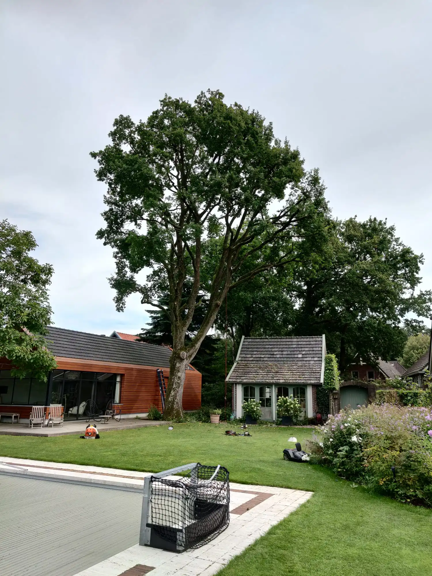 Grote eik in een achtertuin naast een woning, klimtouw hangt al in de boom, materieel op het gras